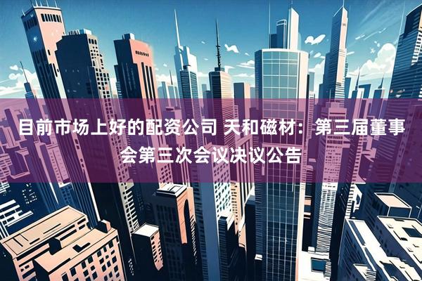 目前市场上好的配资公司 天和磁材：第三届董事会第三次会议决议公告
